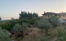 Agriturismo Casa Orsini